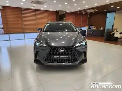 Lexus NX 2025 2.5 Вариатор в Москве № 398708, миниатюра 3