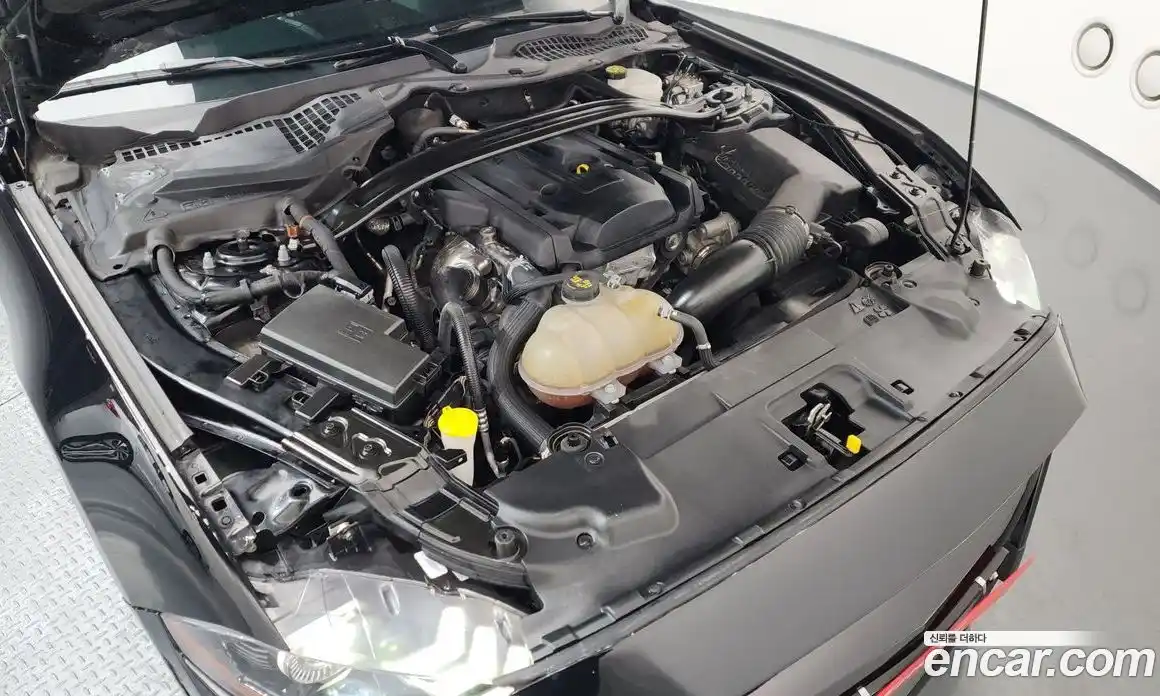 Ford Mustang 2019 2.3 Автомат в Москве № 245643, фото 6