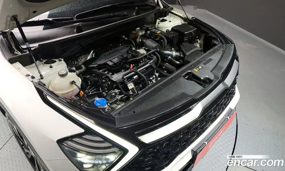 Kia Sportage 2022 1.6 Автомат в Москве № 123784, фото 5