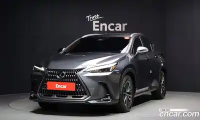 Lexus NX, 2025