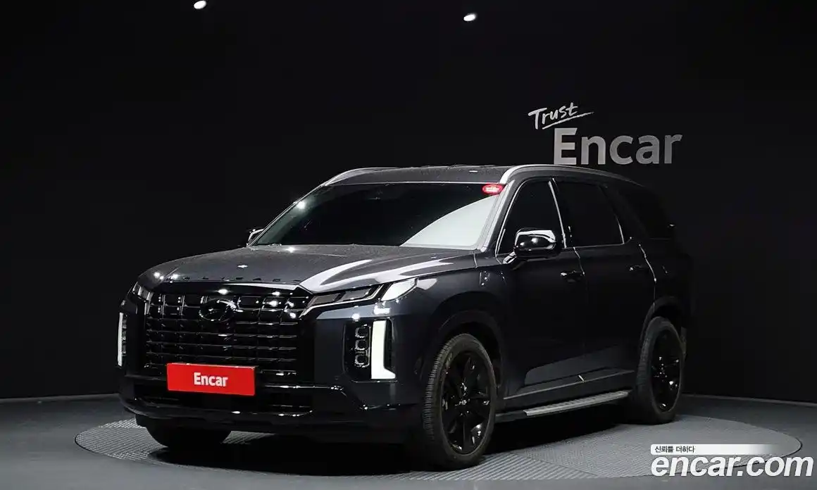 Hyundai Palisade 2023 2.2 Автомат в Москве № 204899, фото 12