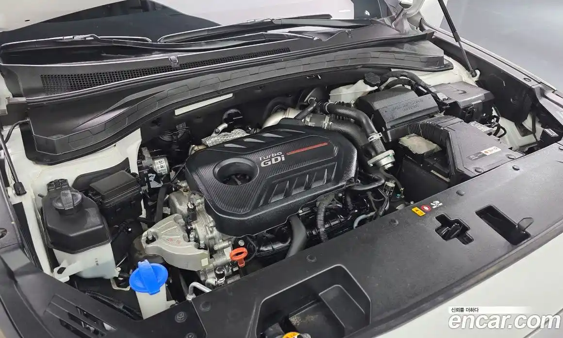 Hyundai Santa Fe 2020 2.0 Автомат в Москве № 108165, фото 8