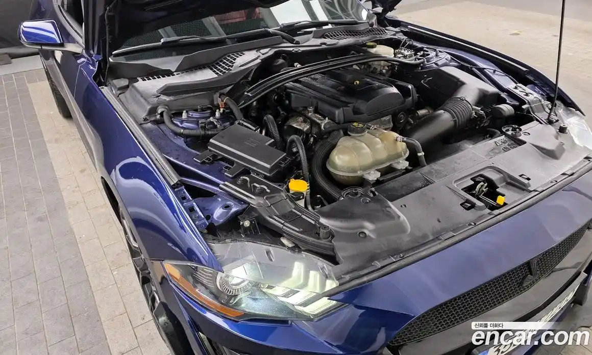 Ford Mustang 2019 2.3 Автомат в Москве № 170948, фото 18