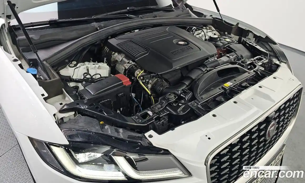 Jaguar F-Pace 2021 2.0 Автомат в Москве № 314090, фото 5