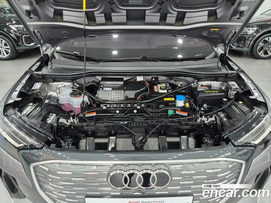 Audi Q4 e-tron 2025 0.2 Автомат в Москве № 230259, фото 19