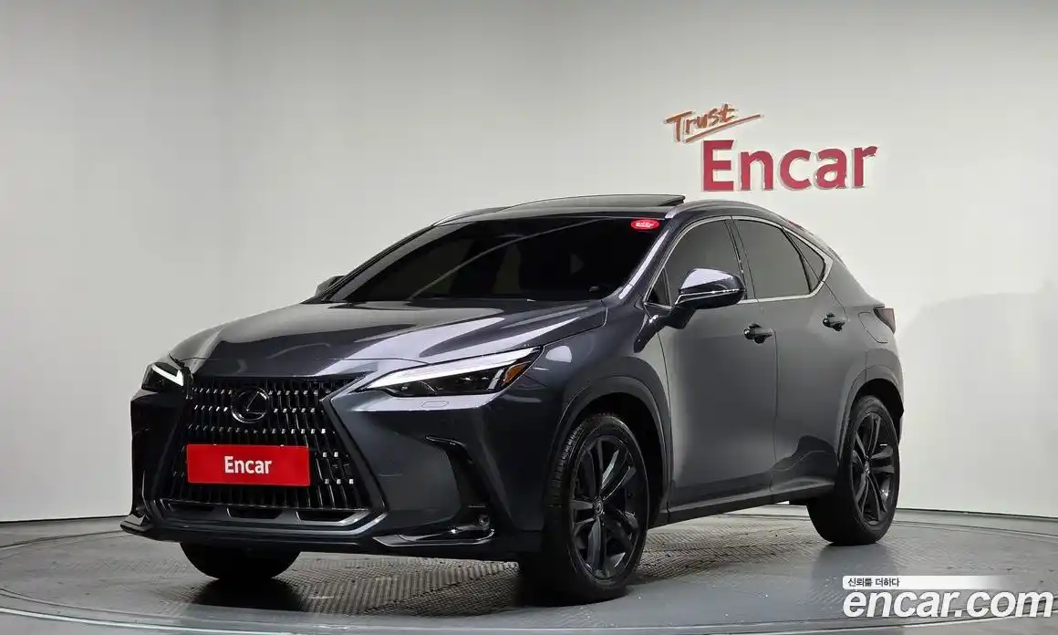 Lexus NX 2025 2.5 Автомат в Москве № 254046, фото 12