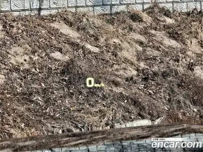 Cadillac Escalade 2019 6.2 Автомат в Москве № 321040, миниатюра 12