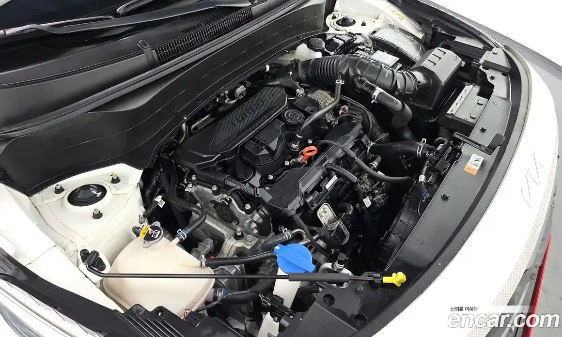 Kia Seltos 2023 1.6 Автомат в Москве № 55587, фото 6