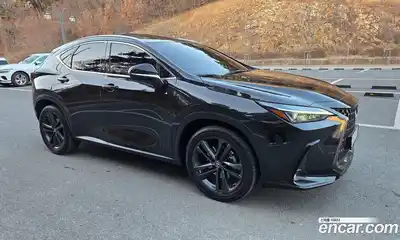 Lexus NX 2023 2.5 Автомат в Москве № 214795, миниатюра 2