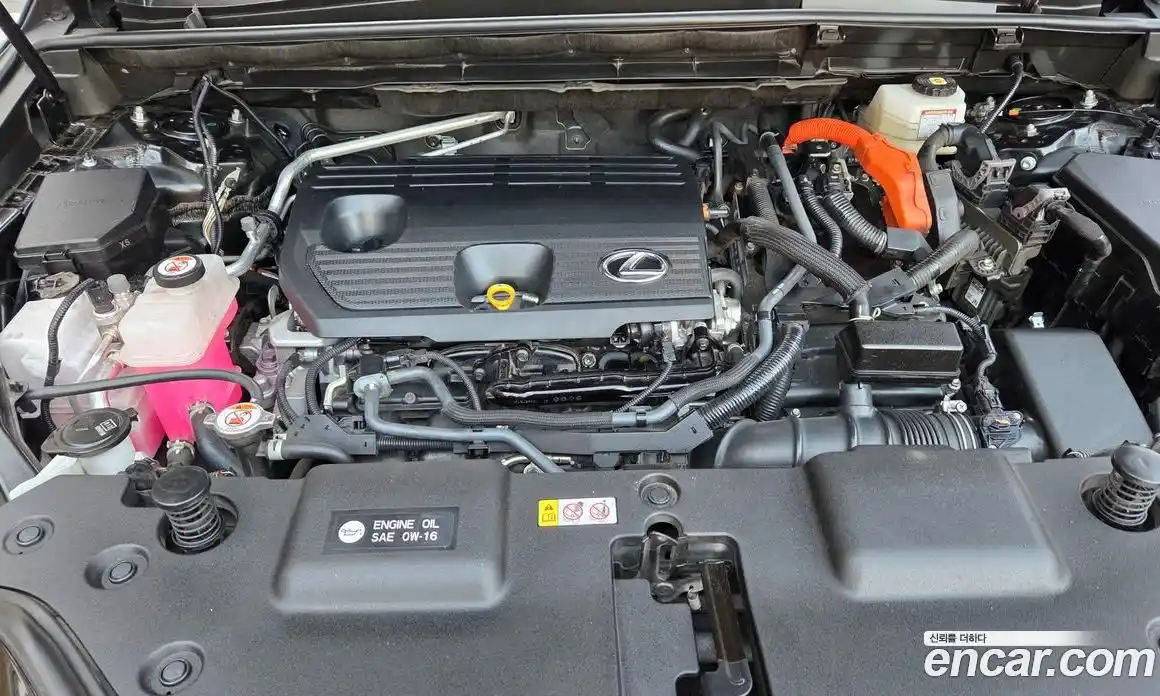 Lexus NX 2023 2.5 Автомат в Москве № 214795, фото 8