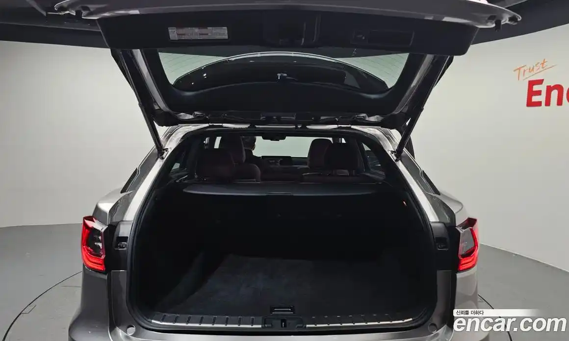 Lexus RX 2017 3.5 Автомат в Москве № 198835, фото 20