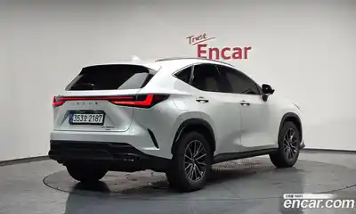 Lexus NX, 2025