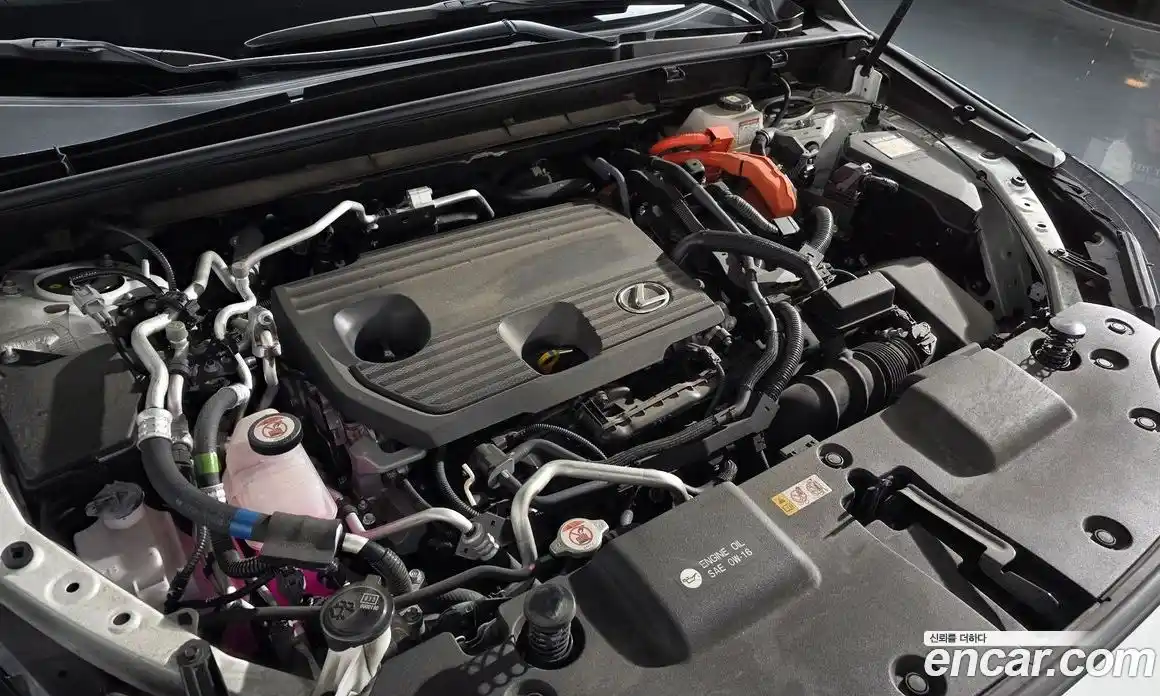 Lexus NX 2025 2.5 Автомат в Москве № 168071, фото 14