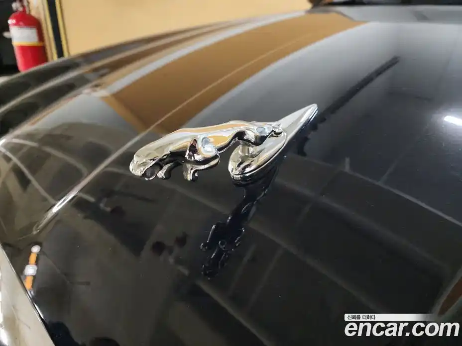 Jaguar XJ-8 2005 3.6 Автомат в Москве № 386495, фото 15