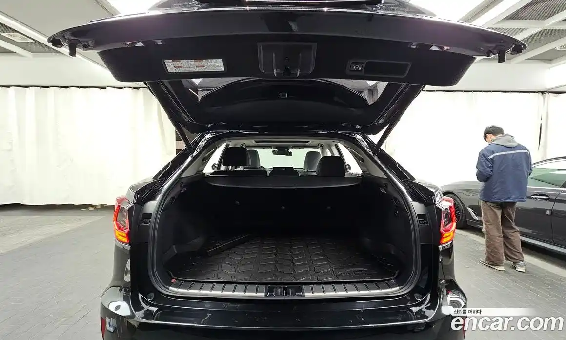 Lexus RX 2019 3.5 Автомат в Москве № 168290, фото 20