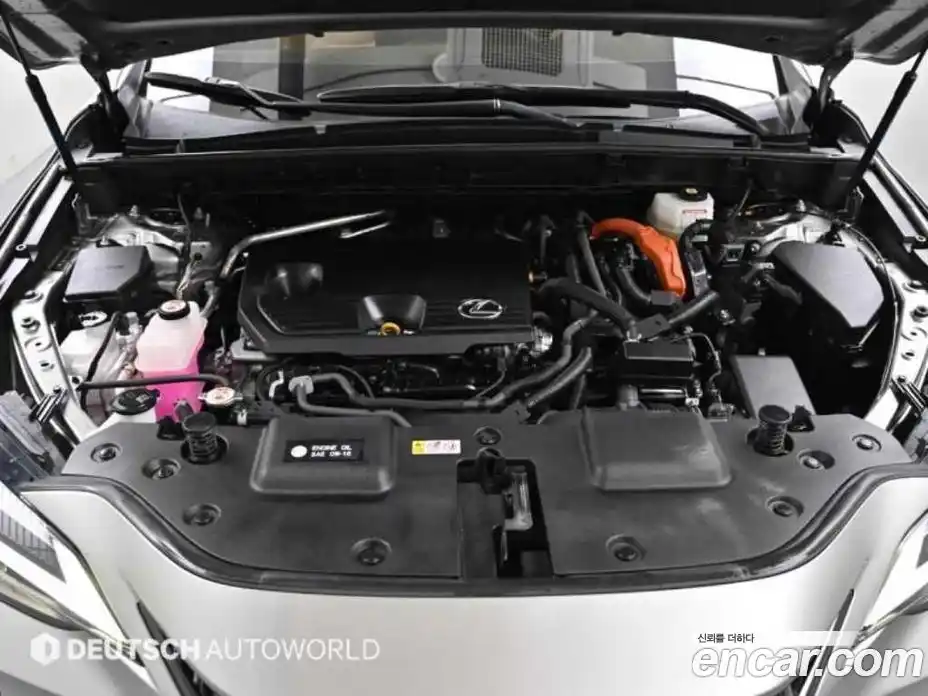 Lexus NX 2023 2.5 Автомат в Москве № 275890, фото 6