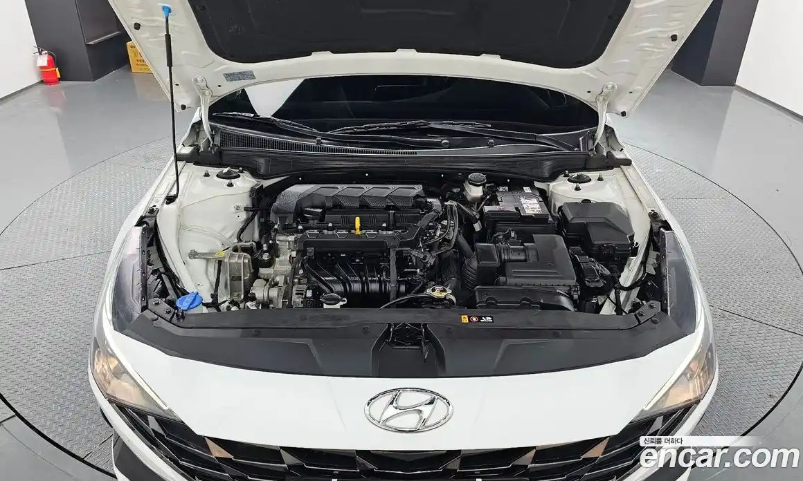 Hyundai Avante 2023 1.6 Автомат в Москве № 46951, фото 15