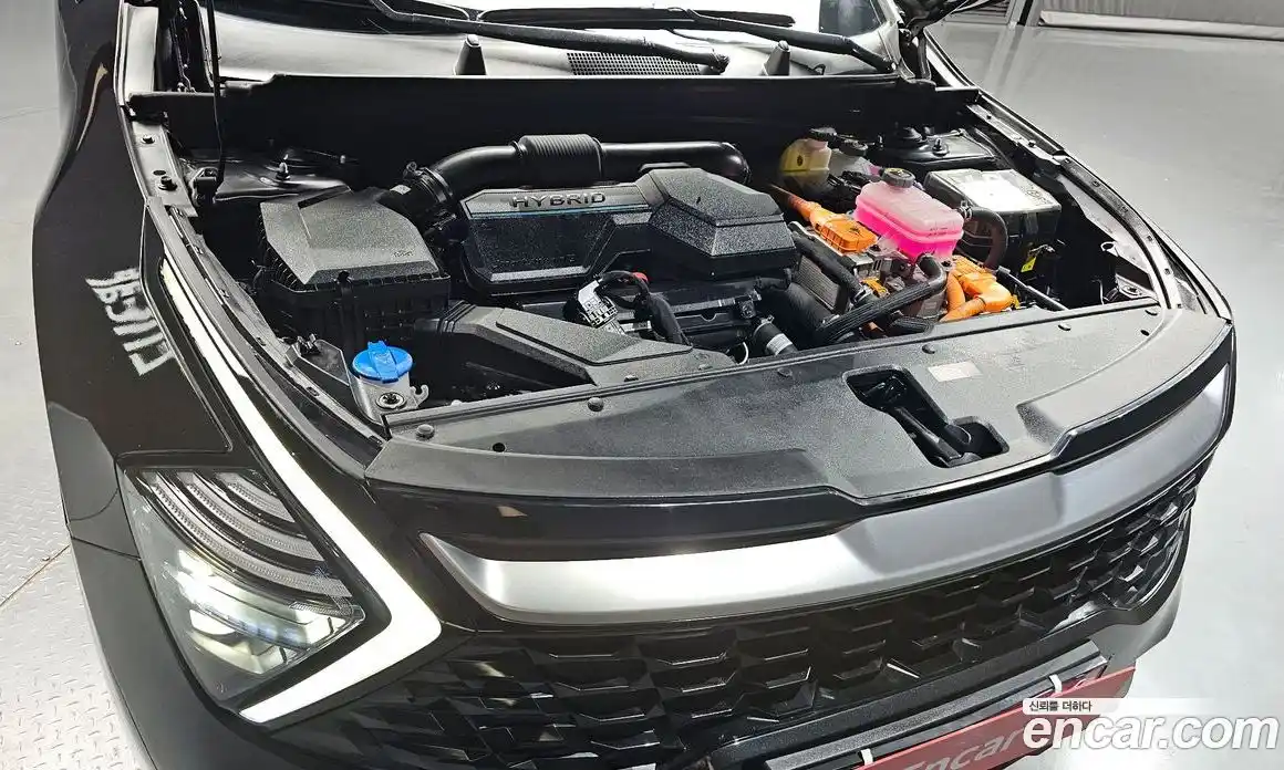 Kia Sportage 2023 1.6 Автомат в Москве № 132344, фото 12