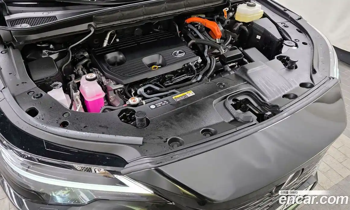 Lexus RX 2025 2.5 Автомат в Москве № 167996, фото 13