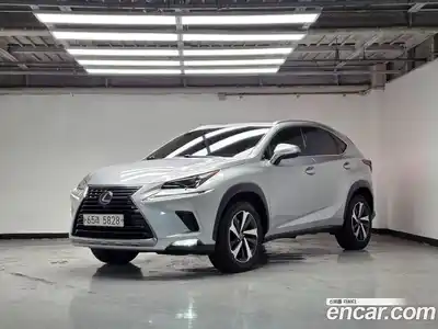 Lexus NX, 2019