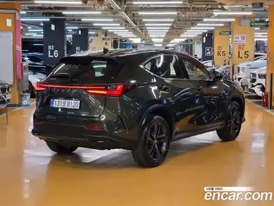 Lexus NX 2025 2.5 Вариатор в Москве № 214726, миниатюра 2