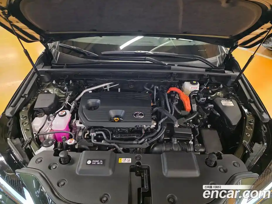 Lexus NX 2025 2.5 Вариатор в Москве № 214726, фото 6