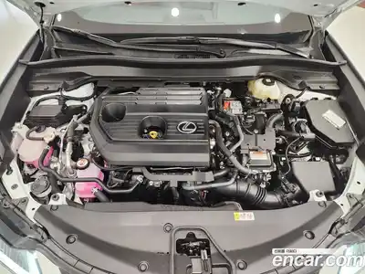 Lexus UX 2025 2.0 Вариатор в Москве № 214733, миниатюра 12