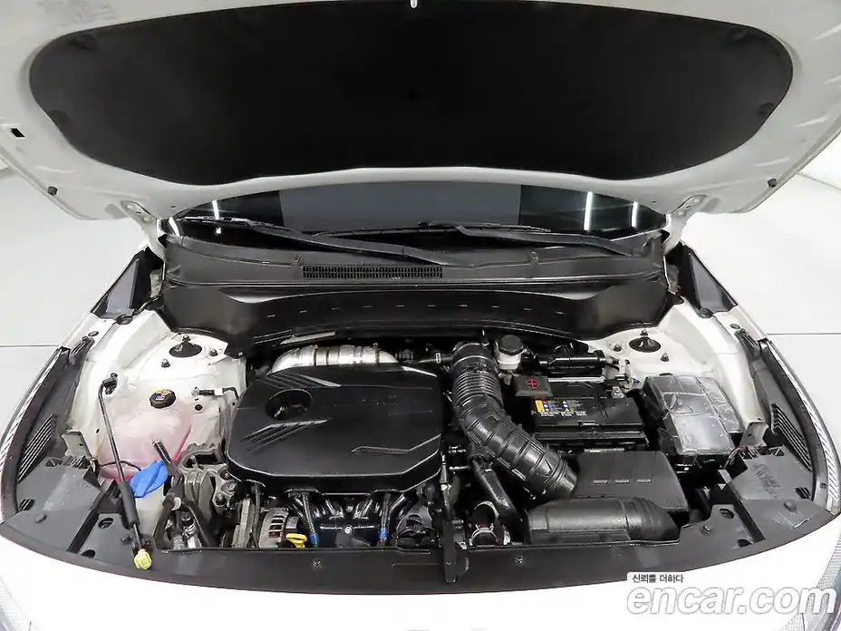 Kia Seltos 2023 1.6 Автомат в Москве № 120128, фото 6