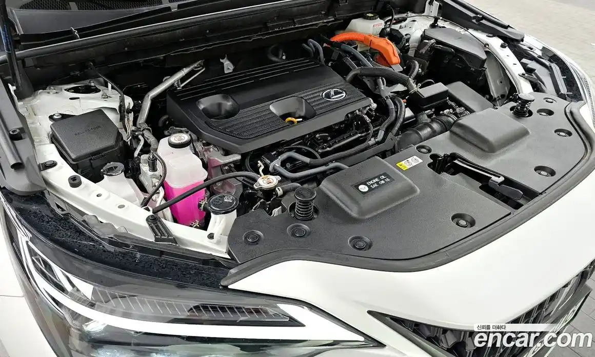 Lexus NX 2025 2.5 Автомат в Москве № 424303, фото 6