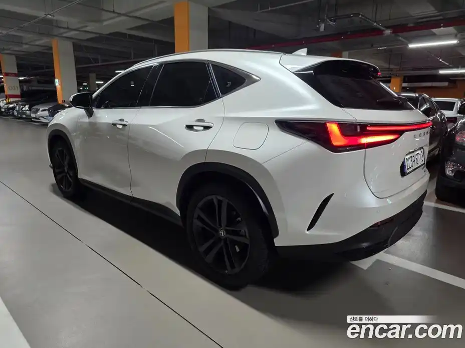 Lexus NX 2025 2.5 Вариатор в Москве № 168013, фото 13