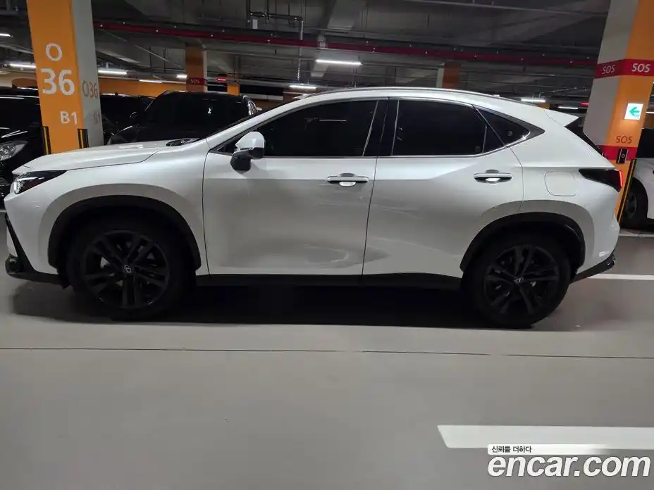 Lexus NX 2025 2.5 Вариатор в Москве № 168013, фото 14