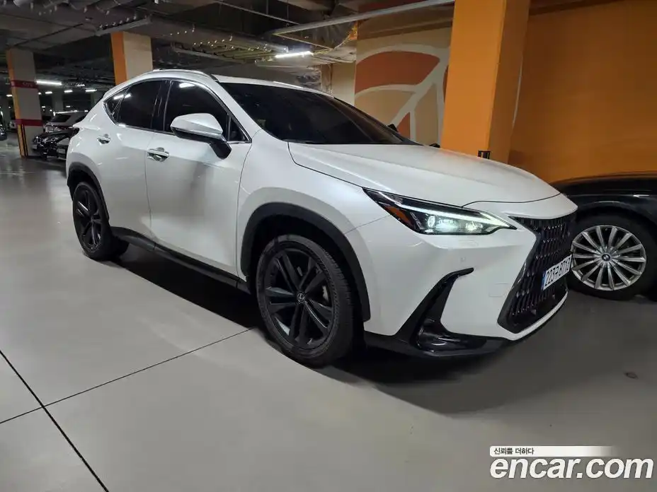 Lexus NX 2025 2.5 Вариатор в Москве № 168013, фото 5