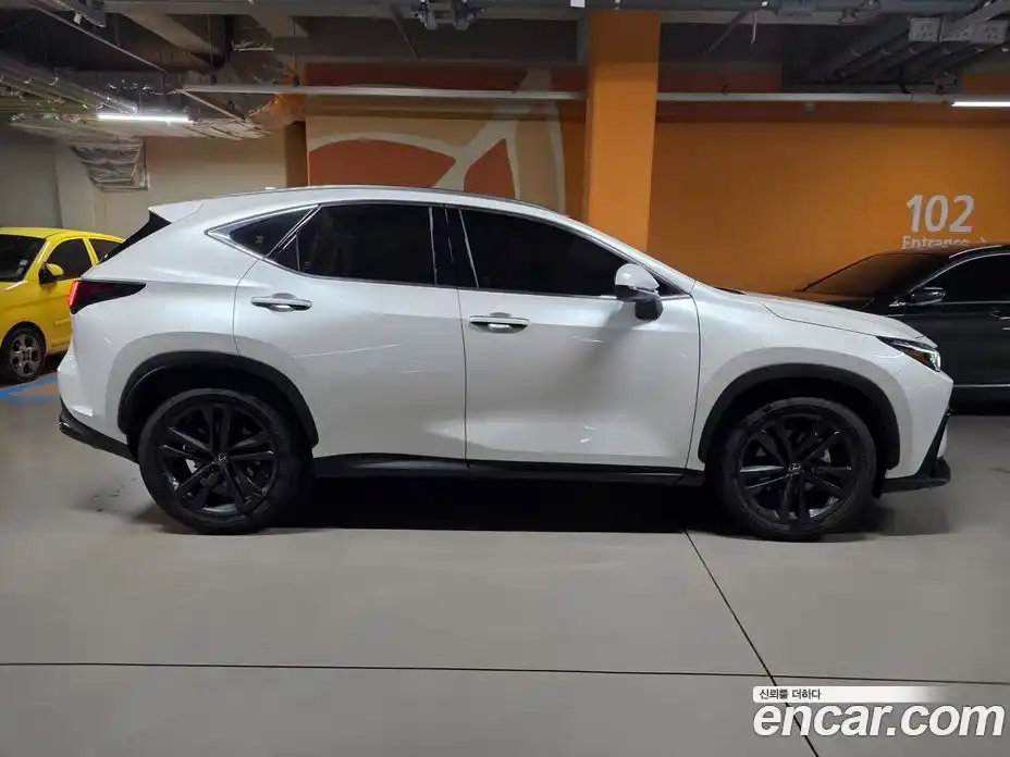 Lexus NX 2025 2.5 Вариатор в Москве № 168013, фото 6