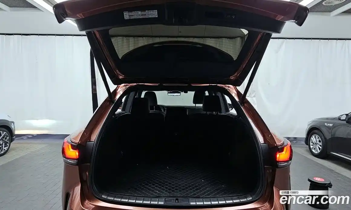 Lexus RX 2024 2.5 Автомат в Москве № 464122, фото 20