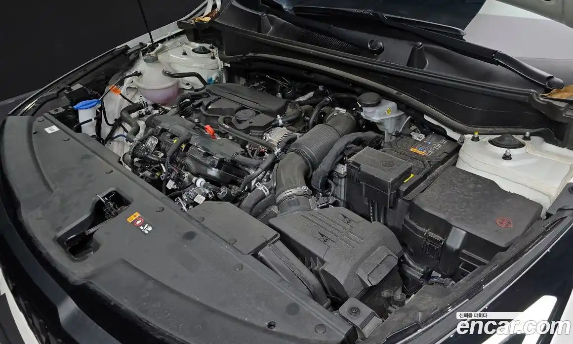 Kia Sportage 2025 1.6 Автомат в Москве № 54495, фото 10