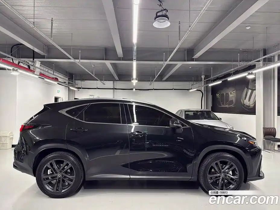 Lexus NX 2025 2.5 Автомат в Москве № 167992, фото 5