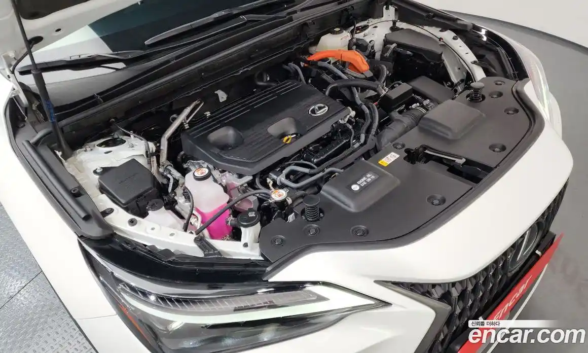 Lexus NX 2025 2.5 Автомат в Москве № 168025, фото 1