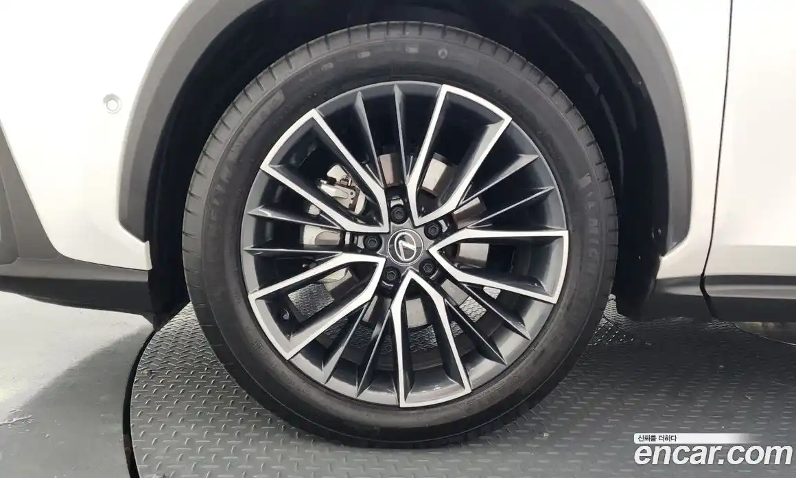 Lexus NX 2025 2.5 Автомат в Москве № 168025, фото 4