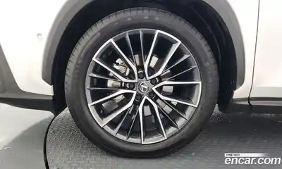 Lexus NX 2025 2.5 Автомат в Москве № 168025, миниатюра 4