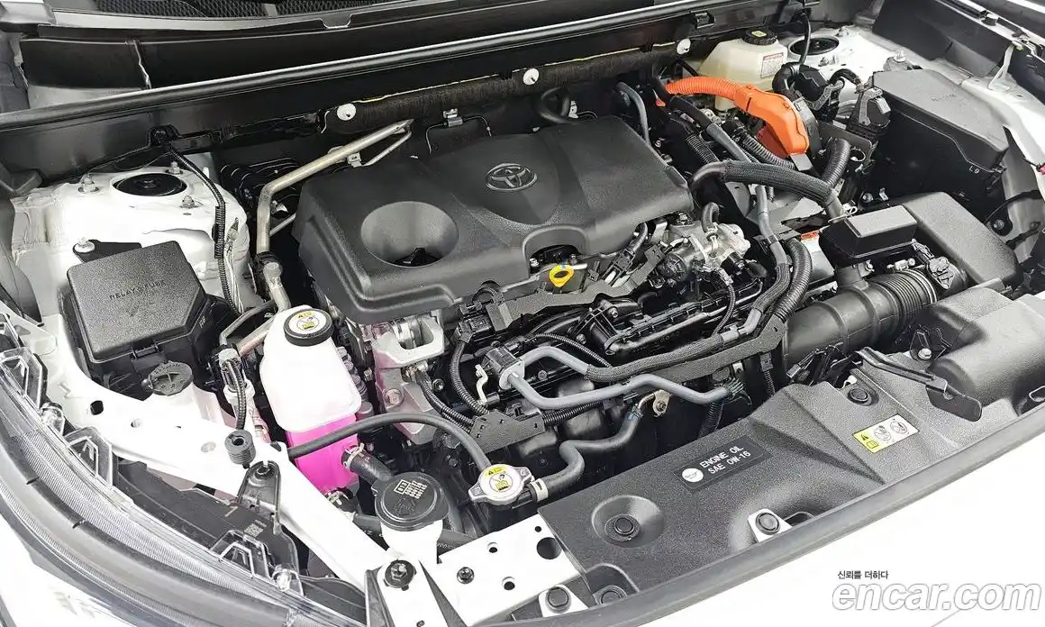 Toyota RAV4 2025 2.5 Автомат в Москве № 170135, фото 6