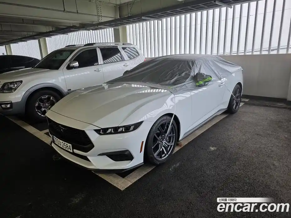 Ford Mustang 2025 2.3 Автомат в Москве № 281707, фото 18