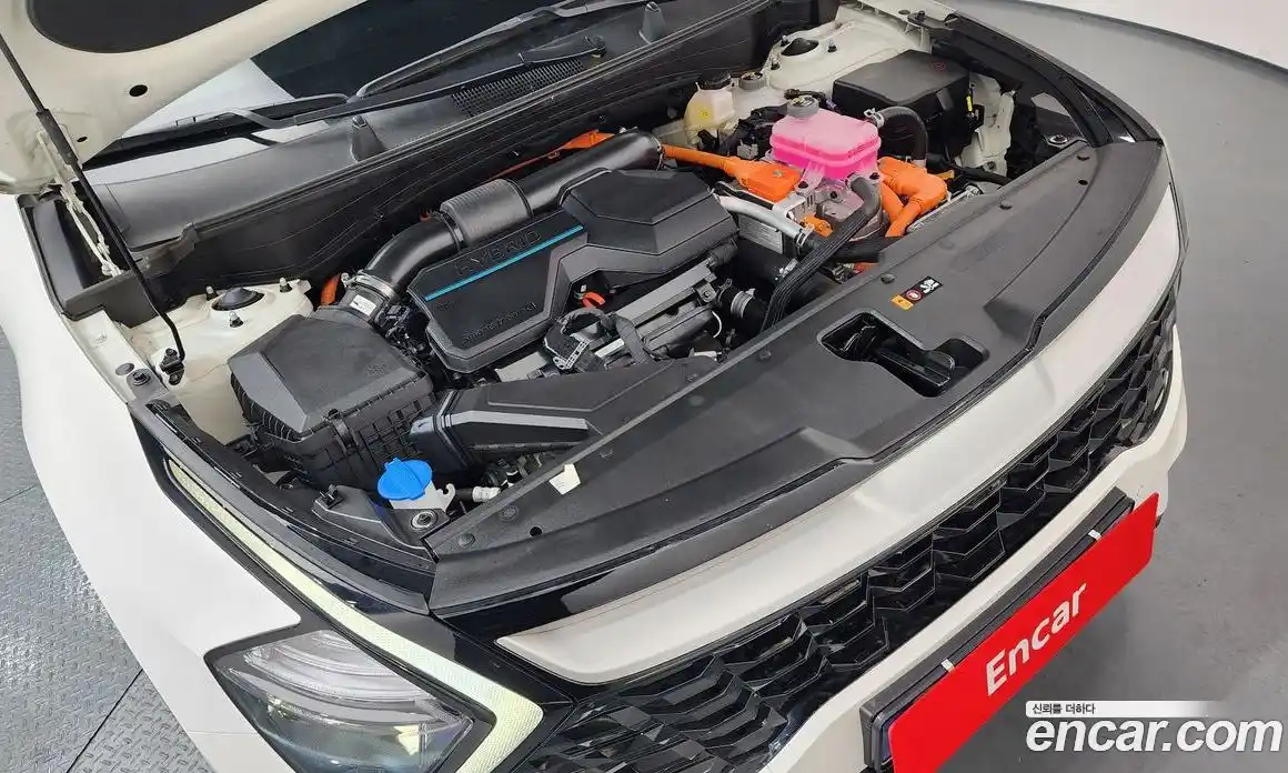 Kia Sportage 2024 1.6 Автомат в Москве № 19828, фото 18