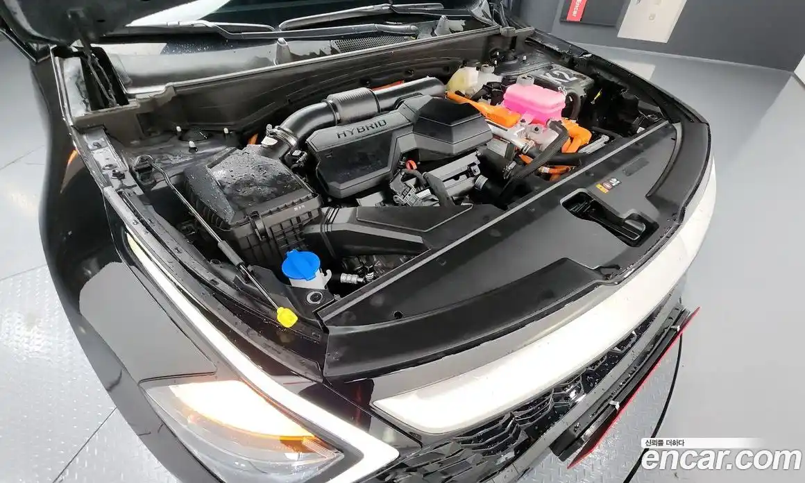 Kia Sportage 2024 1.6 Автомат в Москве № 4495, фото 6