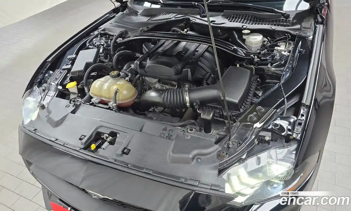 Ford Mustang 2019 2.3 Автомат в Москве № 199879, фото 8