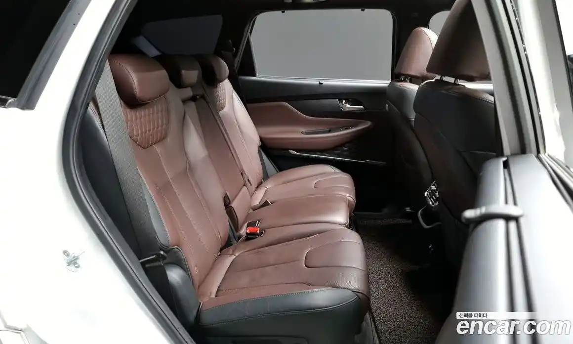 Hyundai Santa Fe 2019 2.0 Автомат в Москве № 123243, фото 12
