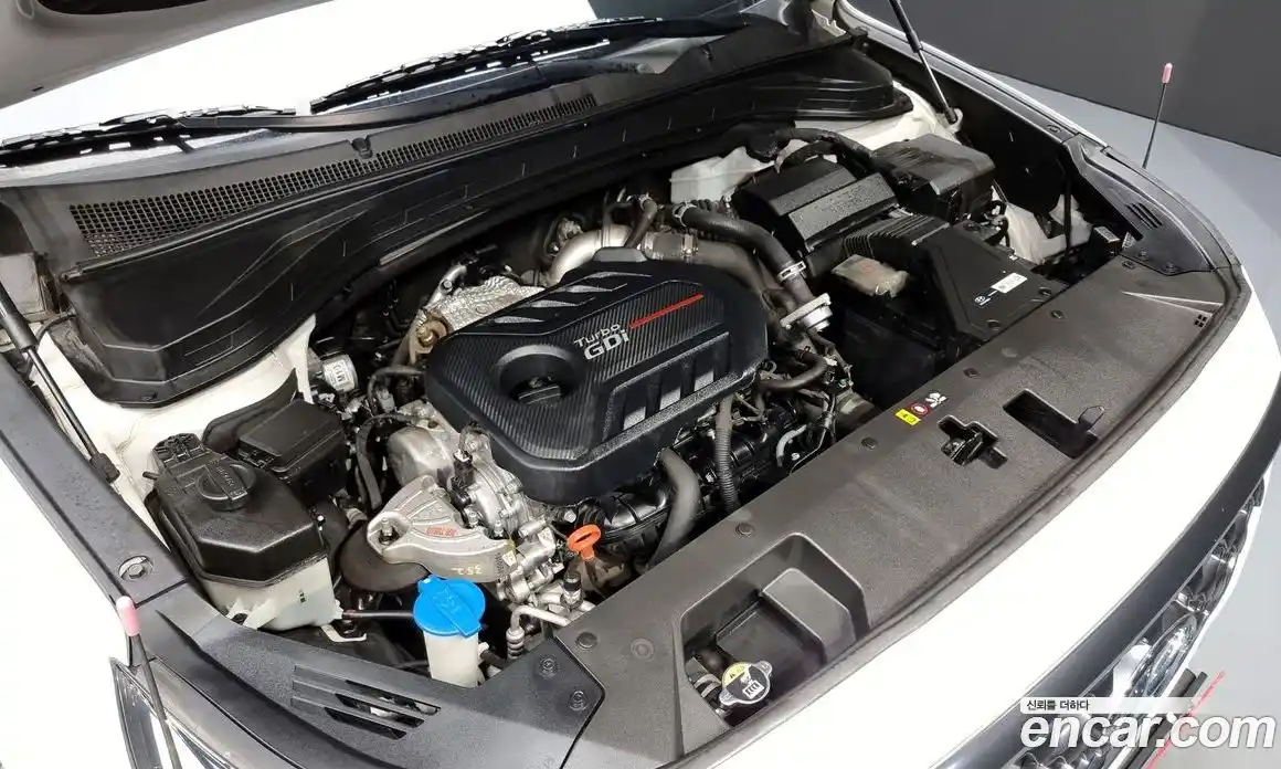 Hyundai Santa Fe 2019 2.0 Автомат в Москве № 123243, фото 6