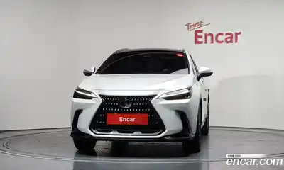 Lexus NX, 2025