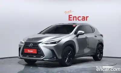 Lexus NX, 2024