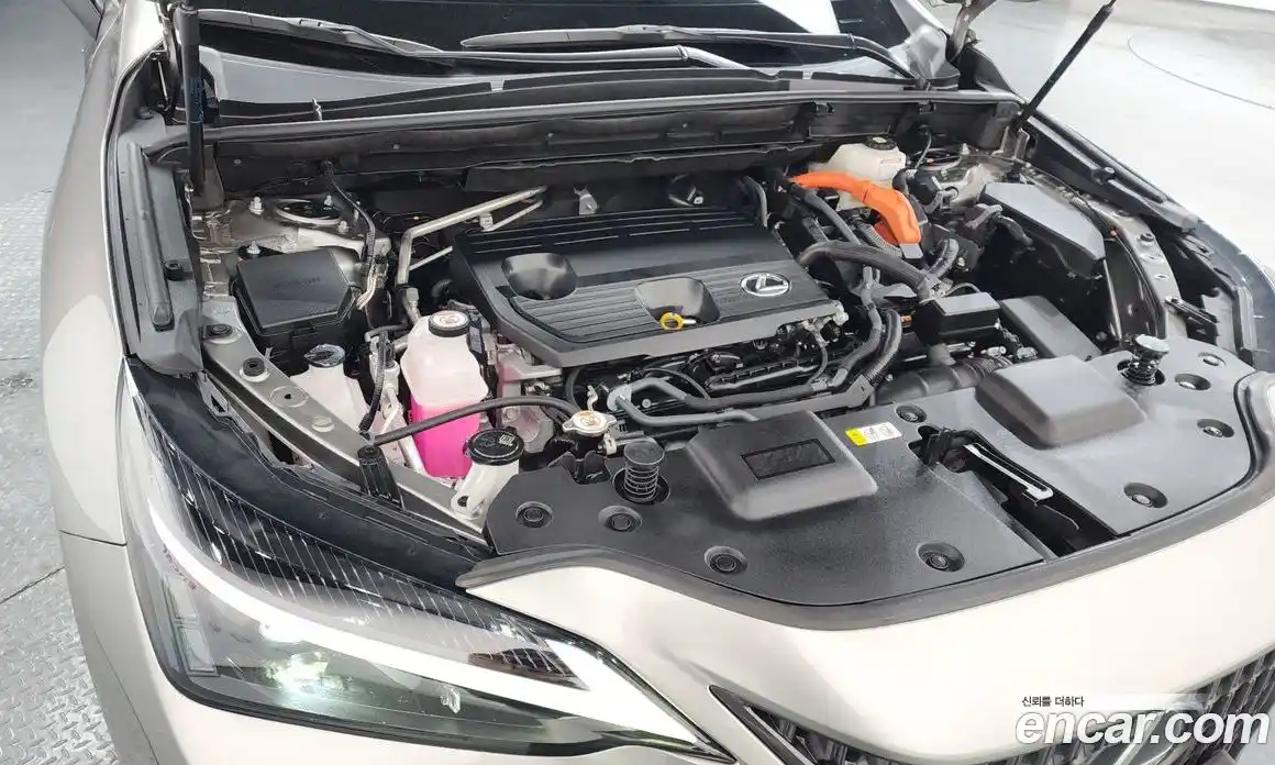 Lexus NX 2024 2.5 Автомат в Москве № 198834, фото 6