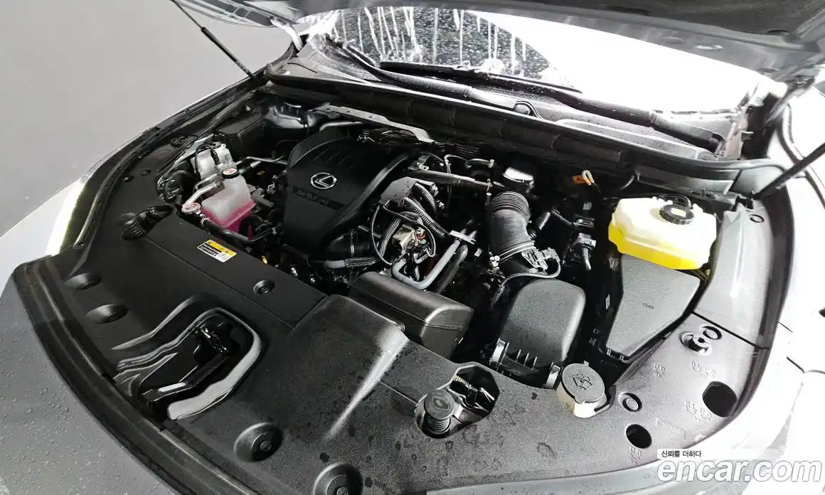 Lexus RX 2023 2.4 Автомат в Москве № 168103, фото 18